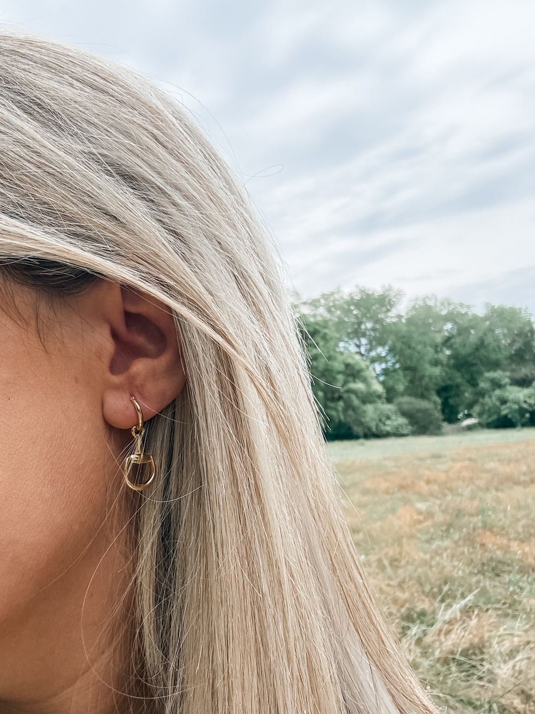 Medium Horse Bit Earrings