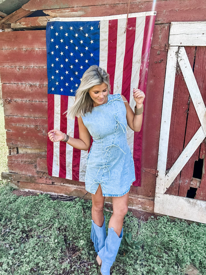 Denim Darling Mineral Wash Denim Dress