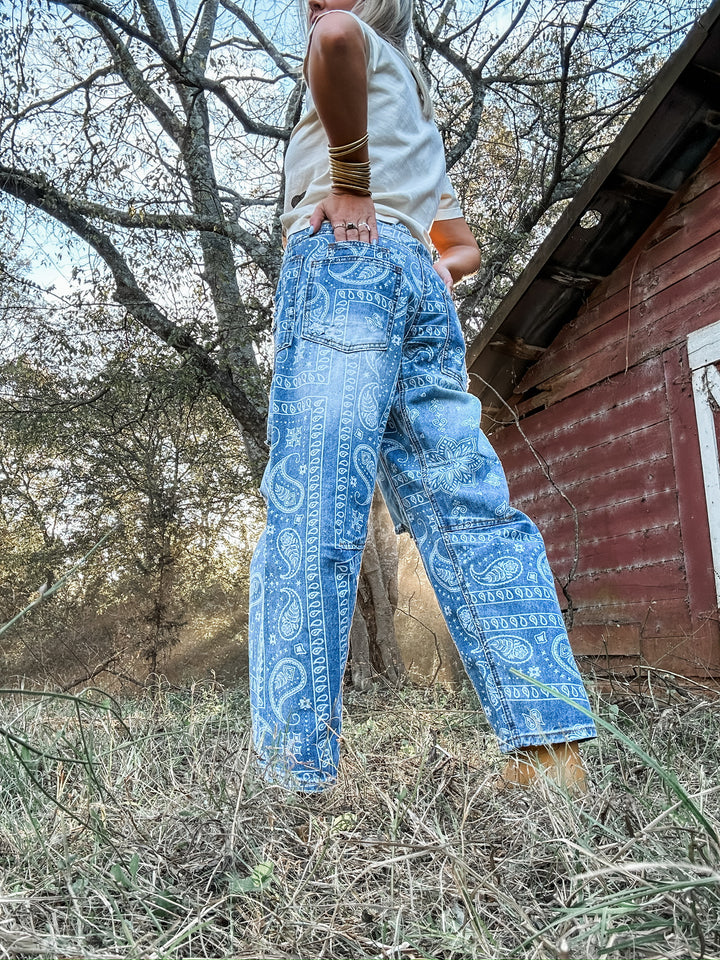 Paisley Dreams Denim
